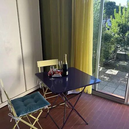 Climatise Avec Piscine Et Parking - 4 Couchages - Port Camargue - Fr-1-250-194 * 르그로뒤후아