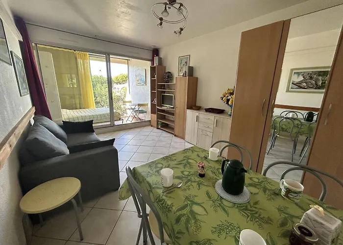 Climatise Avec Piscine Et Parking - 4 Couchages - Port Camargue - Fr-1-250-194 *