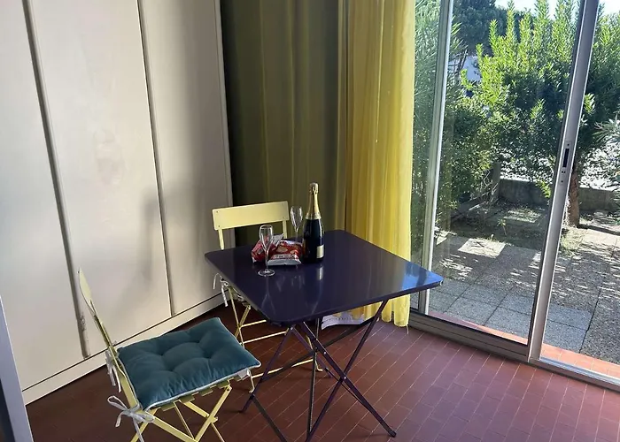 Climatise Avec Piscine Et Parking - 4 Couchages - Port Camargue - Fr-1-250-194 * Le Grau-du-Roi
